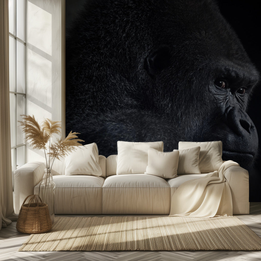 gorillan katse | Valokuvatapetit