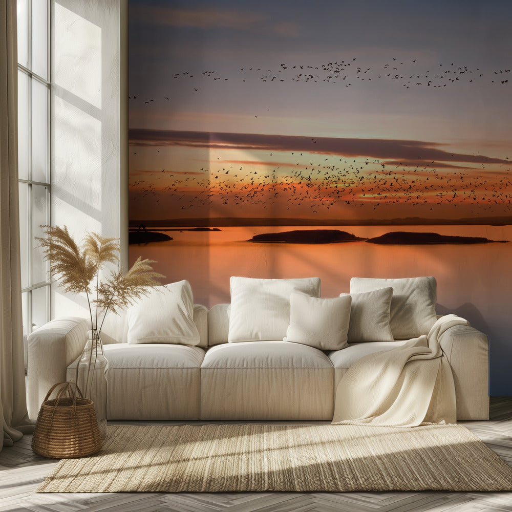 au coucher du soleil | Papier Peint Photo