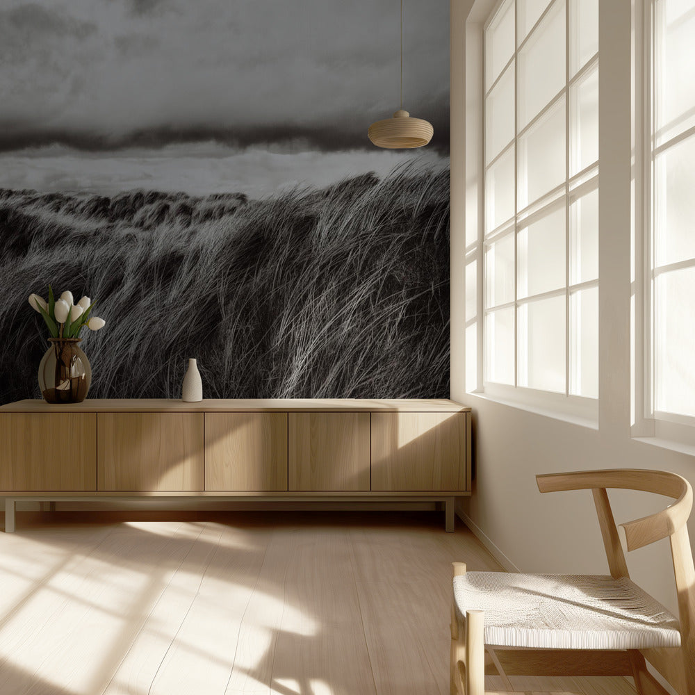 Dunas de hierba | Papel Pintado Fotográfico