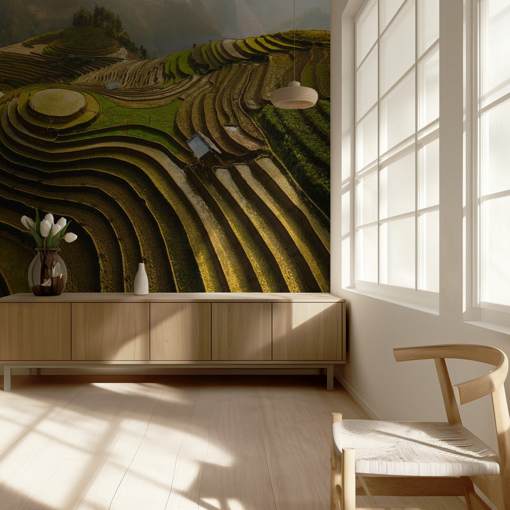 Mu Cang Chai – Vietnam | Fototapeten