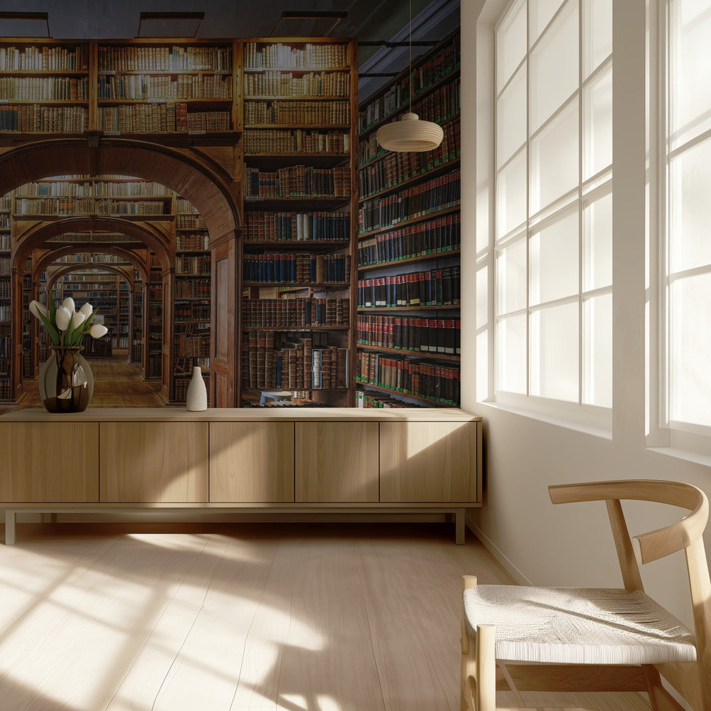 Oberlausitzische Bibliothek der Wissenschaften | Fototapeten