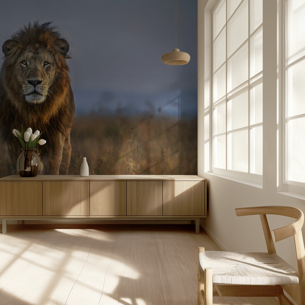 Gros plan sur le lion | Papier Peint Photo