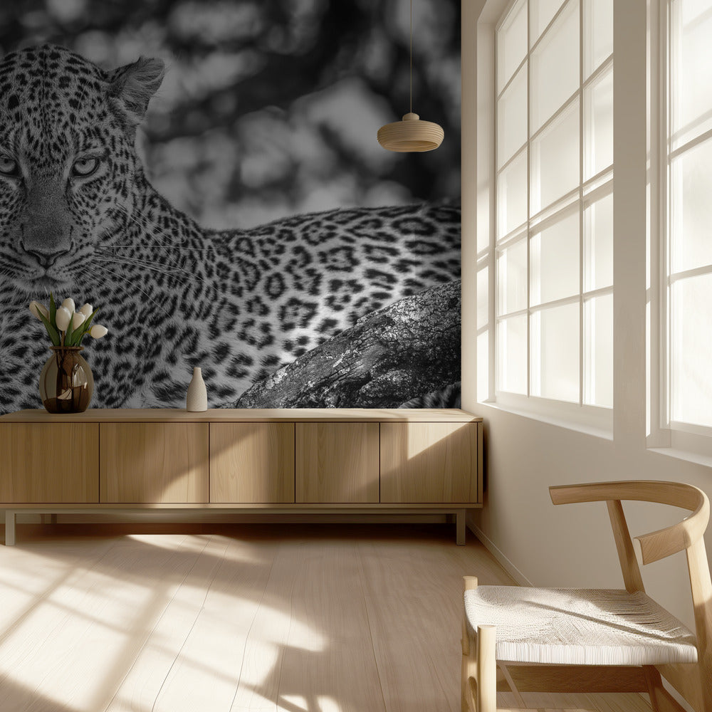Monochrome schoonheid | Fotobehang