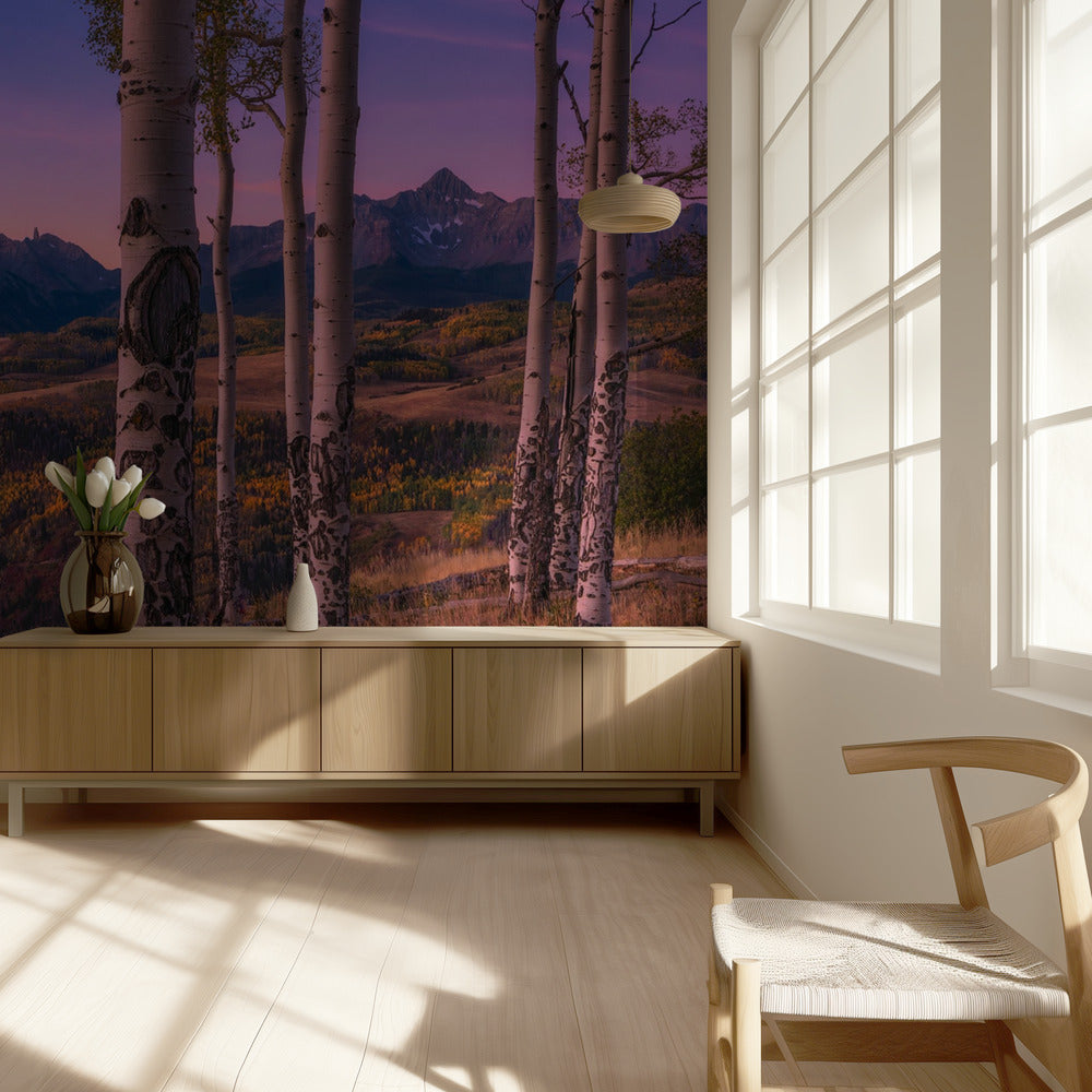 Cadres Aspen | Papier Peint Photo