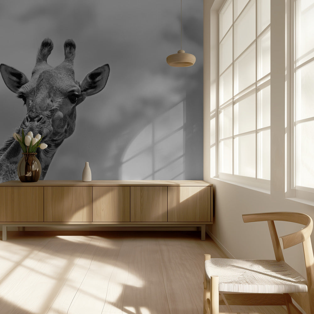 La girafe-Faune V | Papier Peint Photo