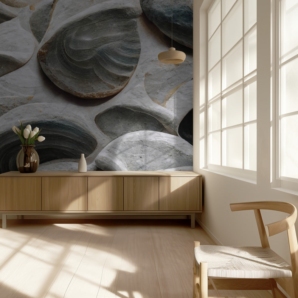 Detalle de conchas marinas nº 5 | Papel Pintado Fotográfico