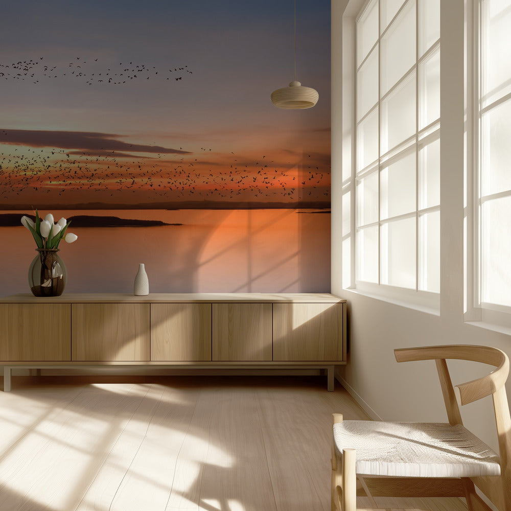 au coucher du soleil | Papier Peint Photo