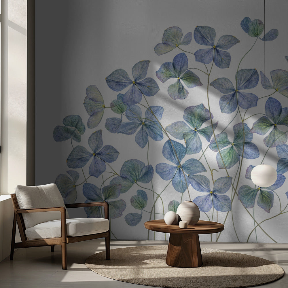 Hortensia | Fotobehang