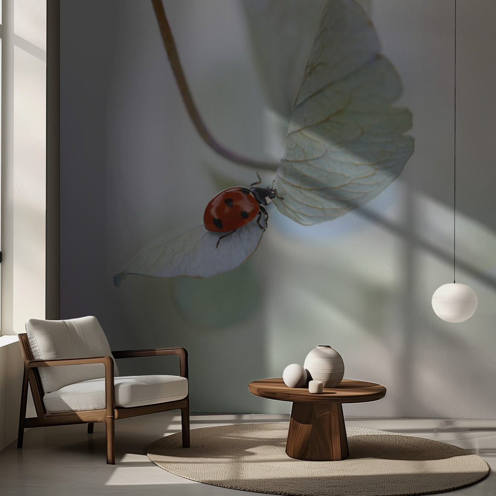 Mariehøne på blågrøn hortensia | Fototapeter