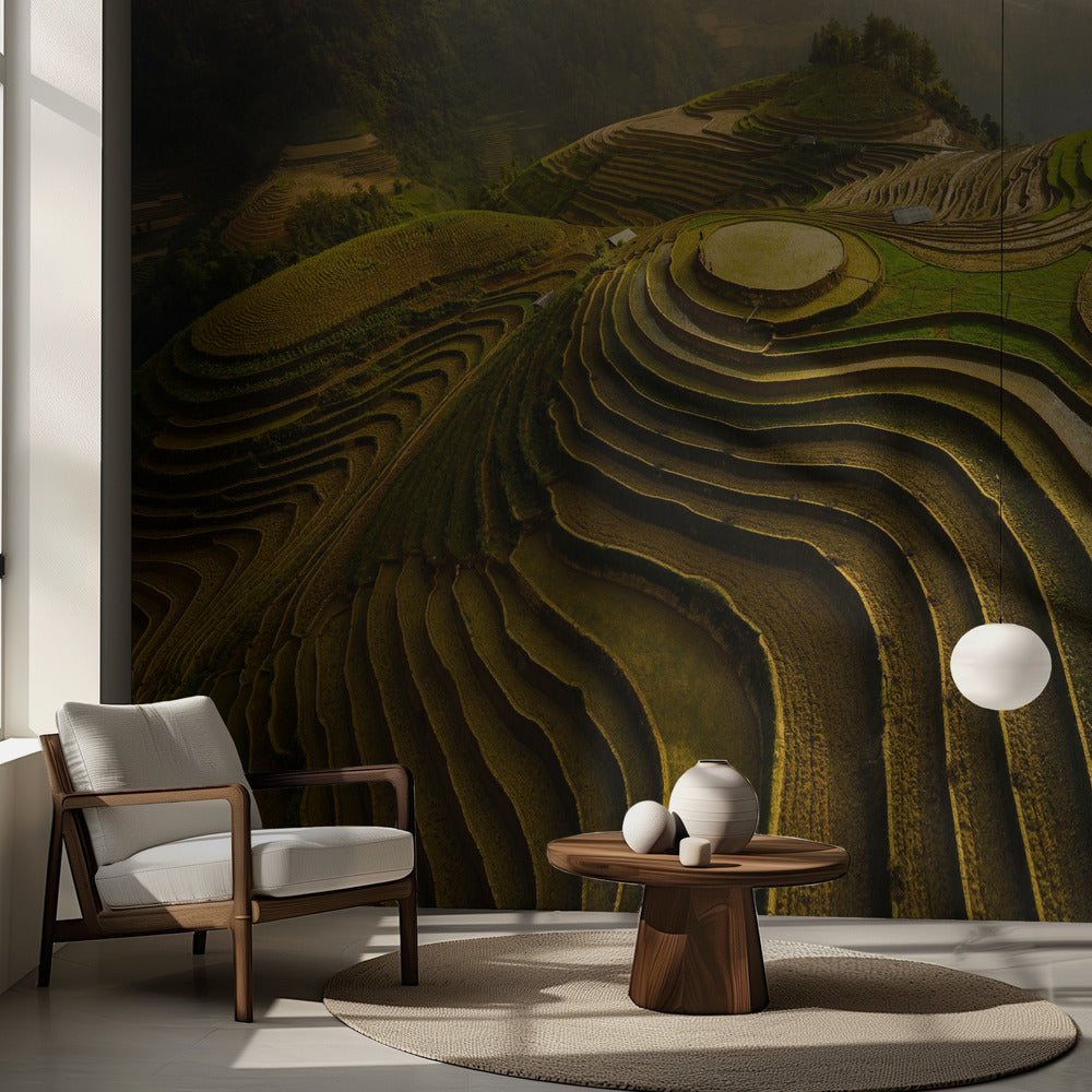 Mu Cang Chai – Vietnam | Fototapeten