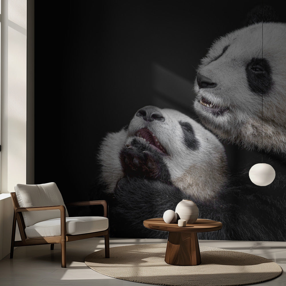Pandaer | Fototapeter