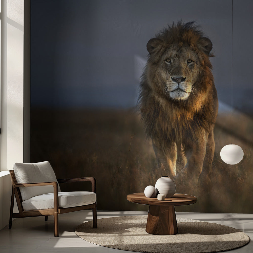 Gros plan sur le lion | Papier Peint Photo