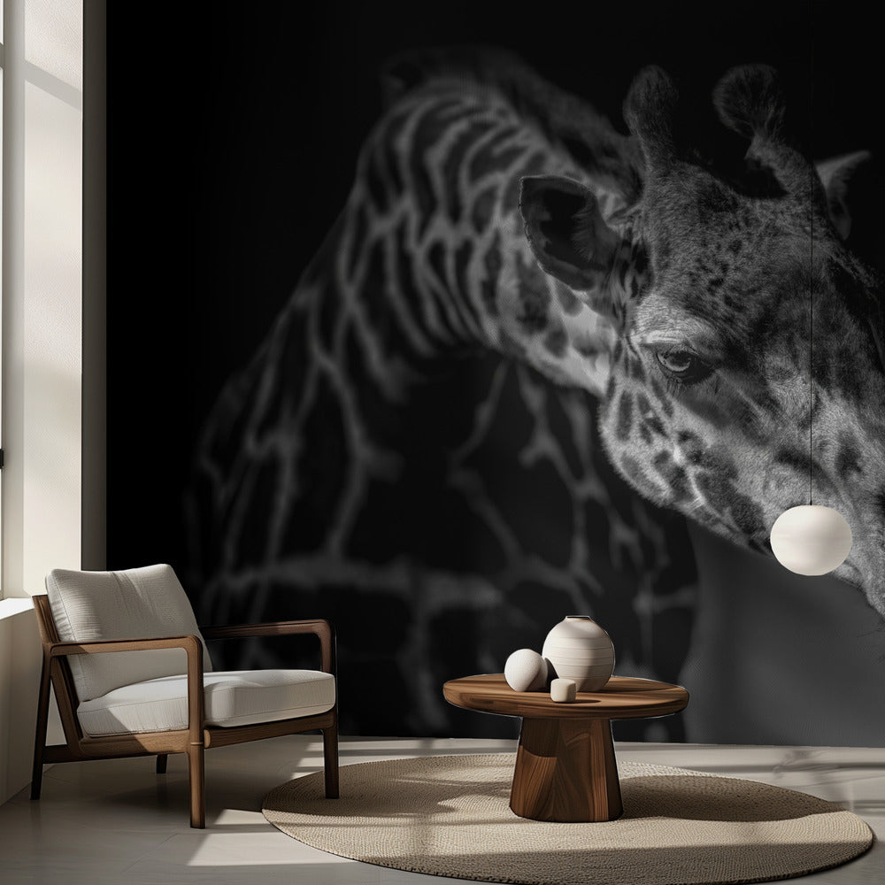 Giraffa | Carta da Parati Fotografica
