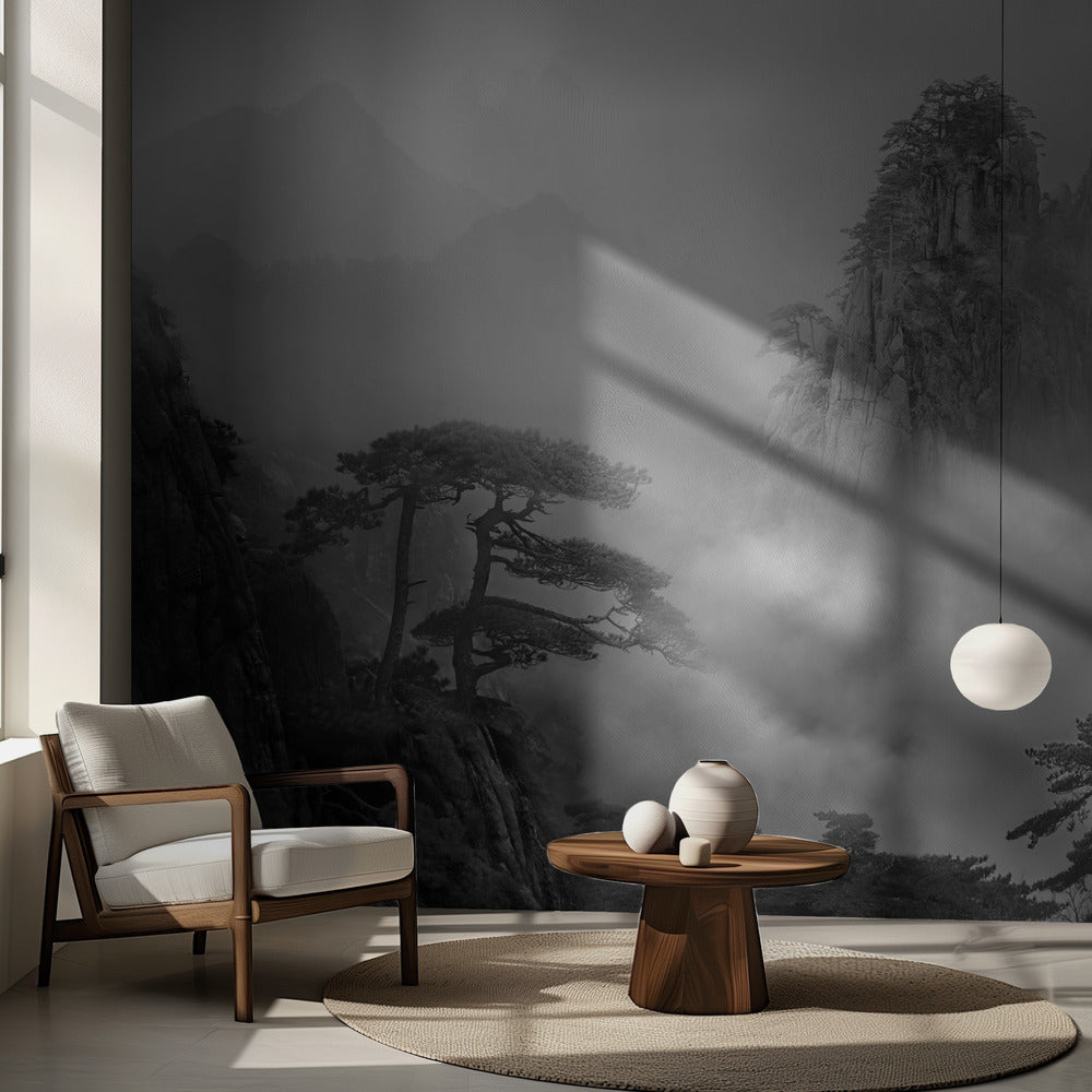 Huang Shan Sumussa | Valokuvatapetit