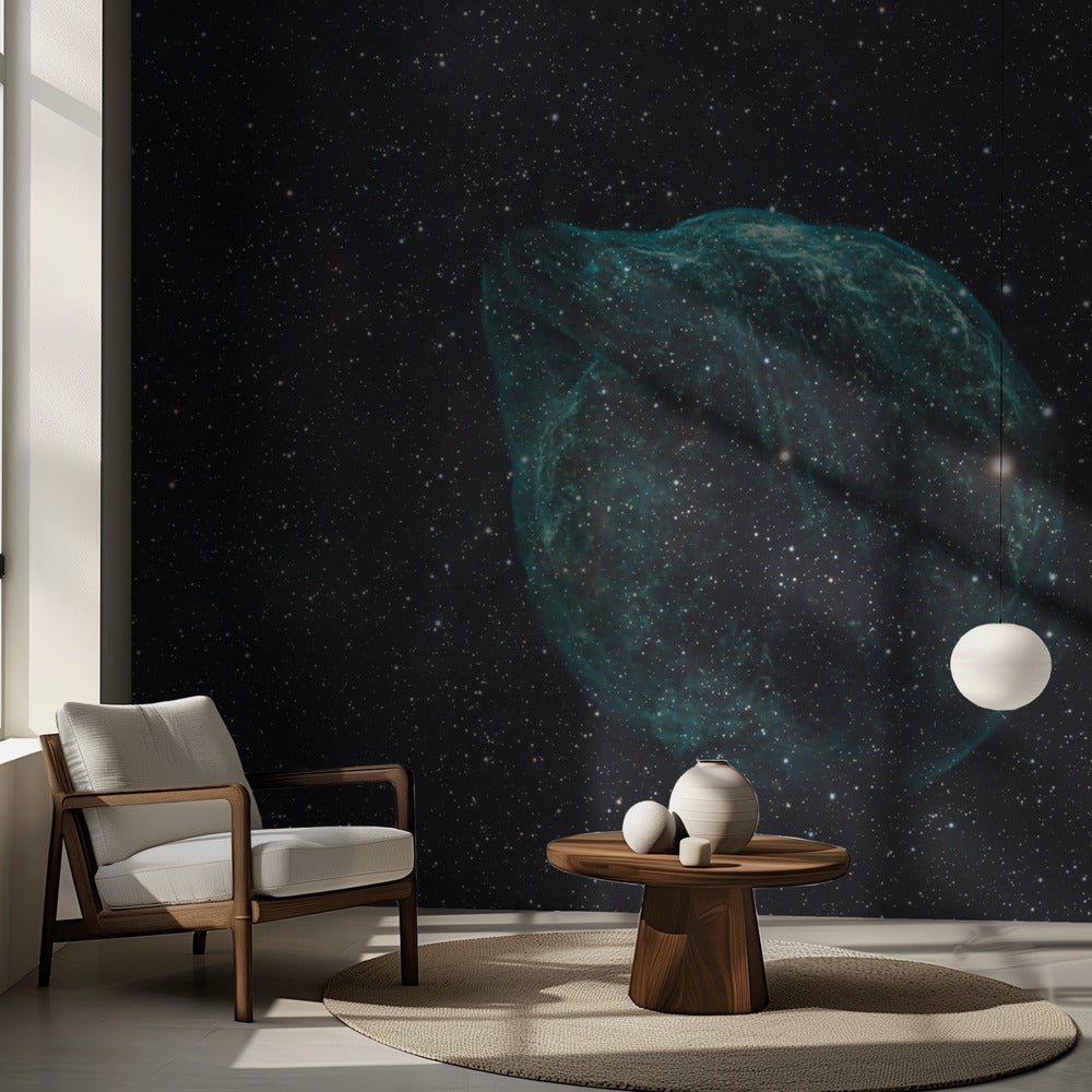 NÉBULEUSE DU DAUPHIN-SHARPLESS 2-308 | Papier Peint Photo