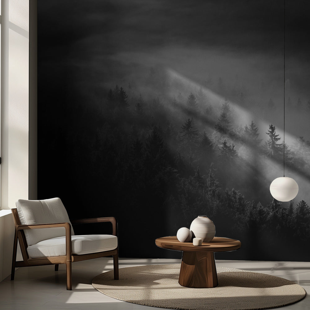 Brumeux | Papier Peint Photo