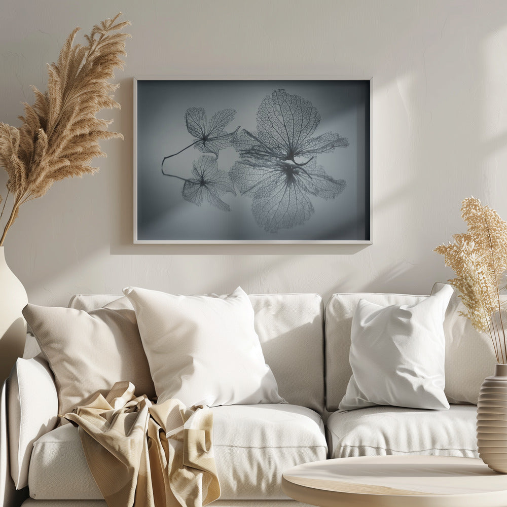 Bellezza effimera | Poster - Stampe d’Arte