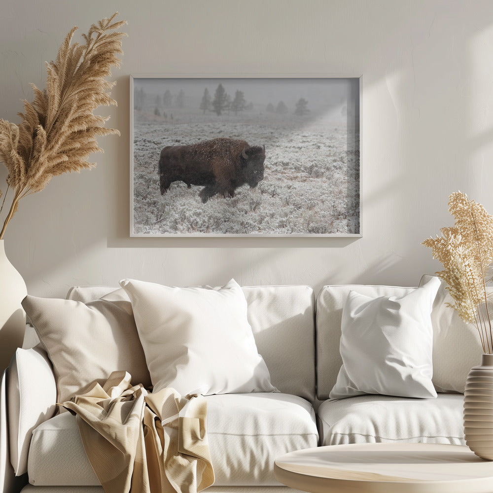 Fin de l'automne à Yellowstone | Posters - Affiche Artistique