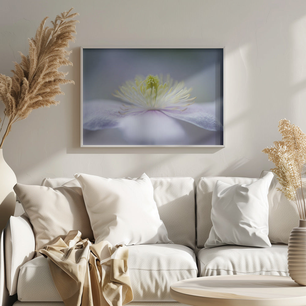 Mayleen | Posters - Affiche Artistique