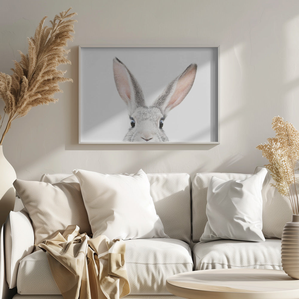 Glurende Konijn | Posters - Kunstdrukken