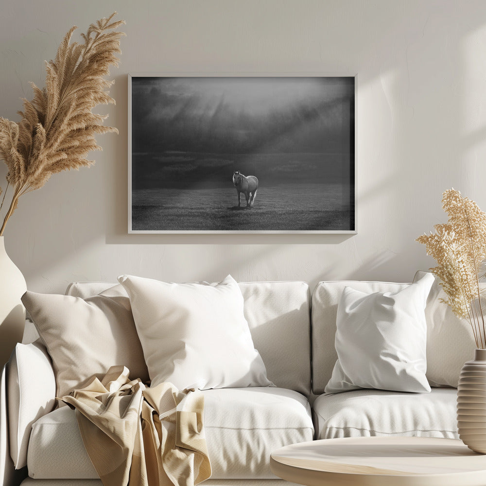 apparence matinale | Posters - Affiche Artistique