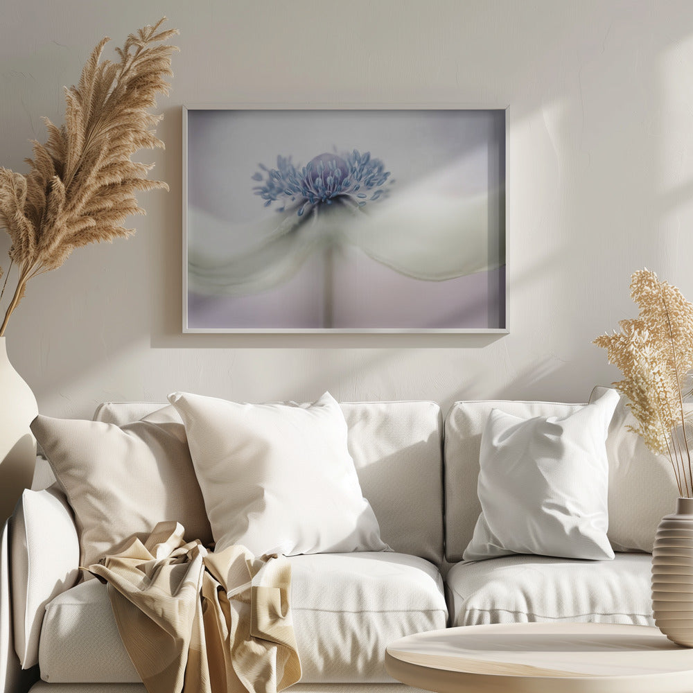 anemone | Poster - Stampe d’Arte