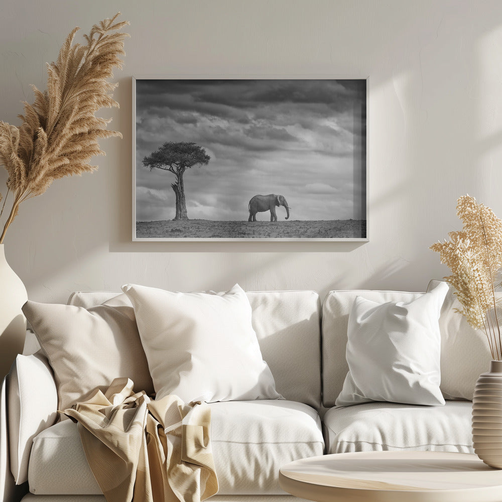 Paesaggio di elefanti | Poster - Stampe d’Arte