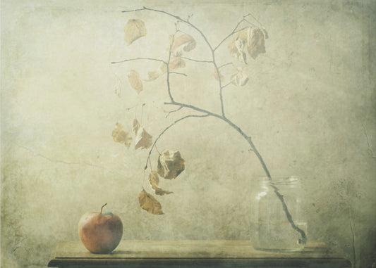 Il piccolo bruco | Poster - Stampe d’Arte