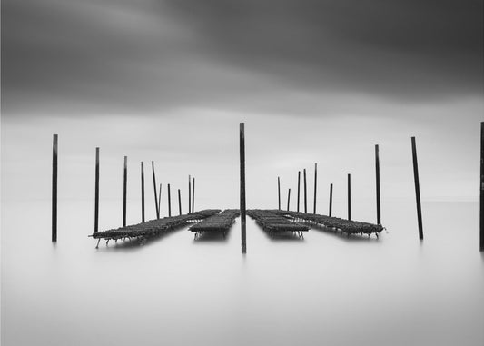 Ostronbaren | Fototapet