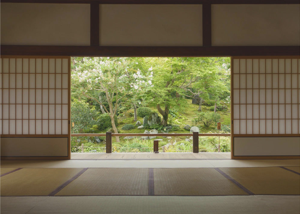 Zen-zone | Fototapeter