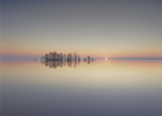 Erinnerung an den Lake Mattamuskeet | Fototapeten