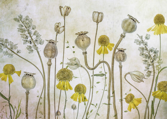 Klaprozen en Helenium | Fotobehang