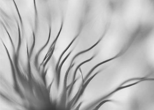 Zonder titel | Fotobehang