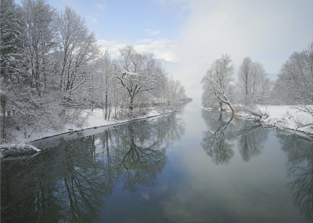 Vinter | Fototapet