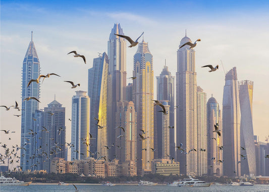 Birds view | Canvas
