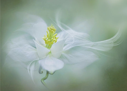 Mystiek | Fotobehang