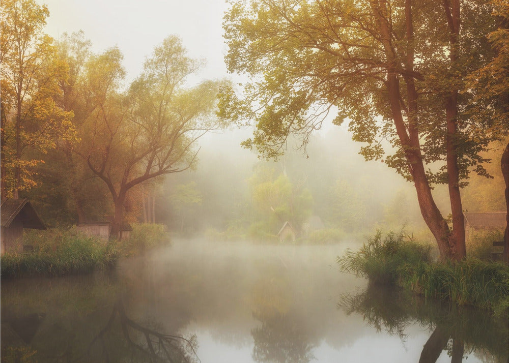 Automne brumeux | Papier Peint Photo