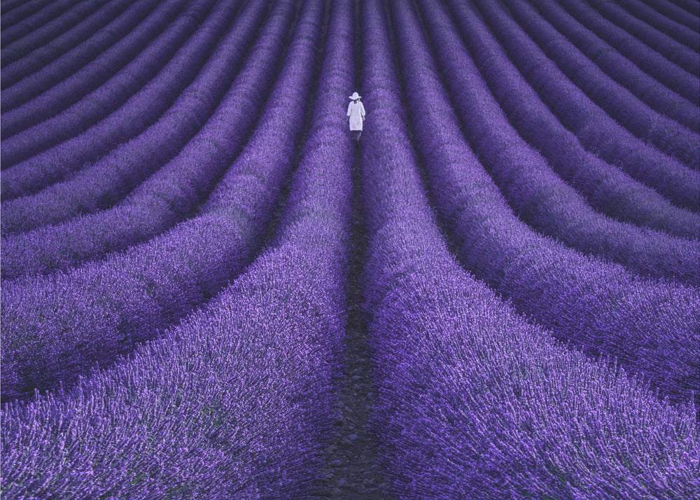 ELLE | Posters - Affiche Artistique