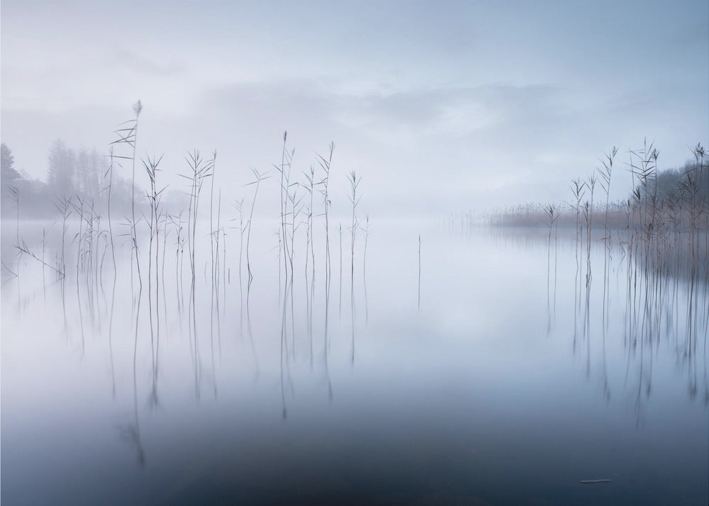 Sans titre | Papier Peint Photo
