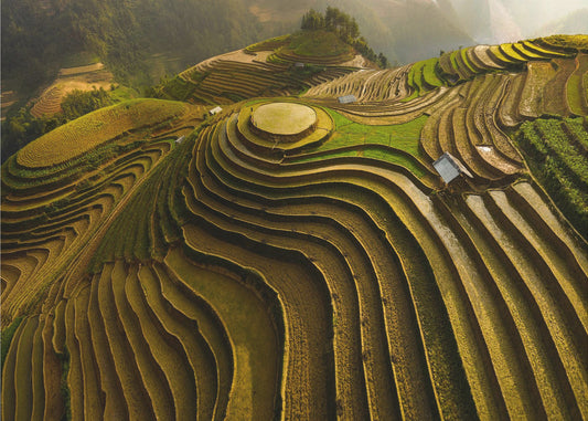 Mu Cang Chai – Vietnam | Fototapeten
