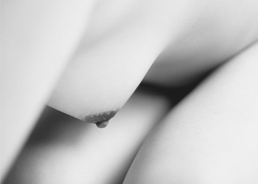 The body | Poster