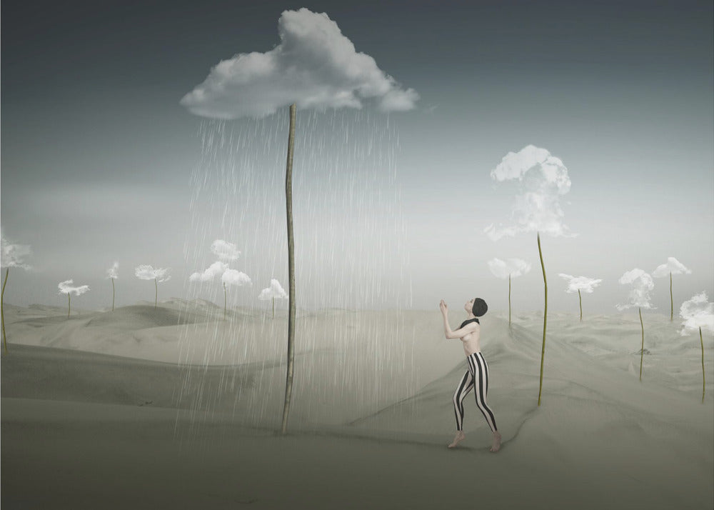 Cloud-Farm | Canvas