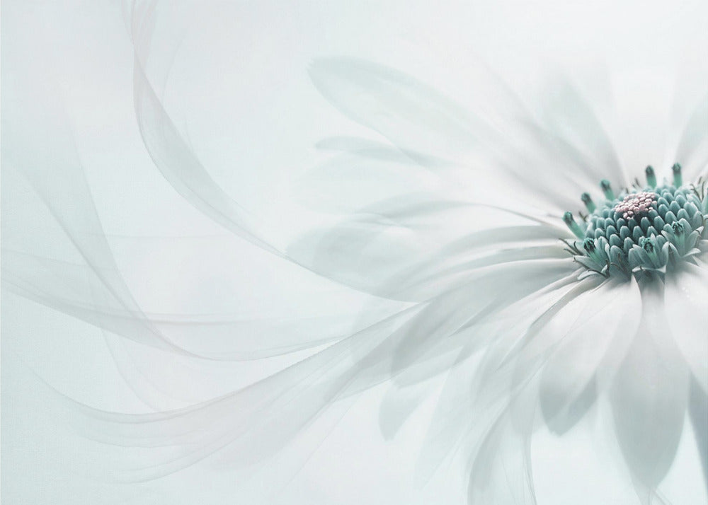 Pureté | Tableaux sur Toile