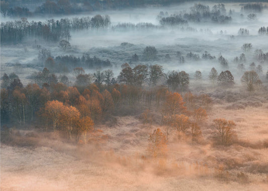 Herbstliche neblige Morgendämmerung | Fototapeten