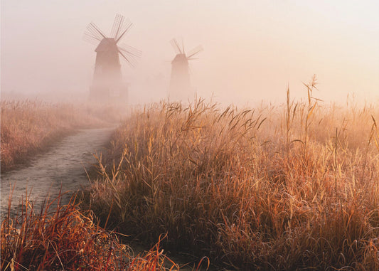 Morgennebel | Fototapeten