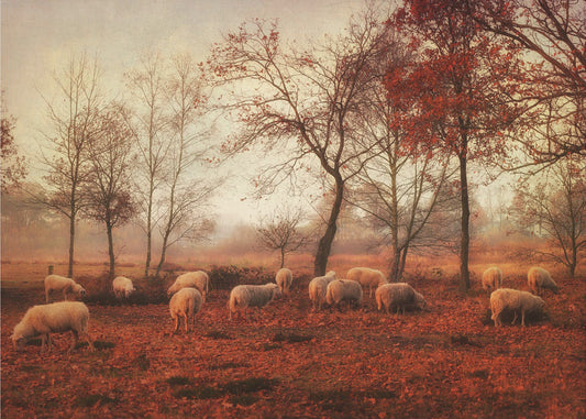 Laatste dagen van de herfst | Fotobehang