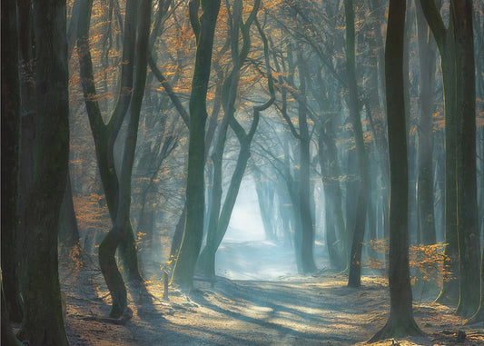 Kaltes Licht | Fototapeten