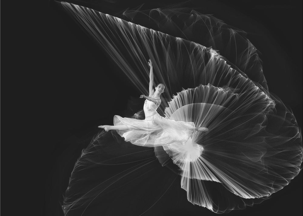 Kom ... la oss danse | Lerretsbilder