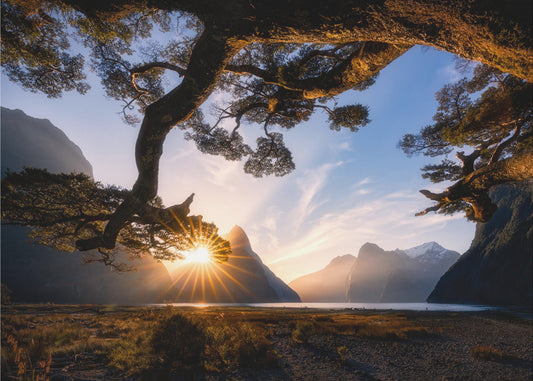 Journée ensoleillée à Milford Sound | Papier Peint Photo