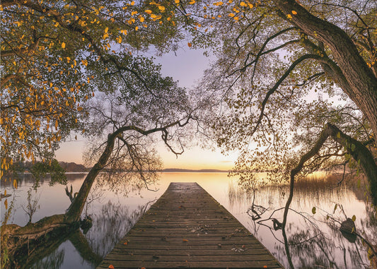 Autunno | Carta da Parati Fotografica